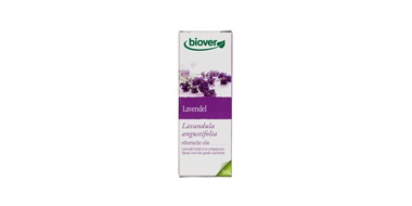 Lavendel